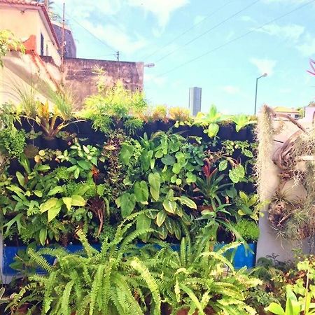 Home & Flower 3 ฟุงชาล ภายนอก รูปภาพ