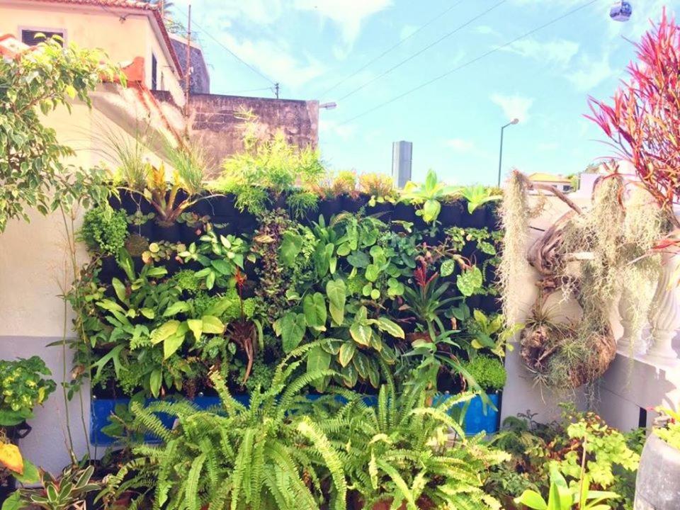 Home & Flower 3 ฟุงชาล ภายนอก รูปภาพ